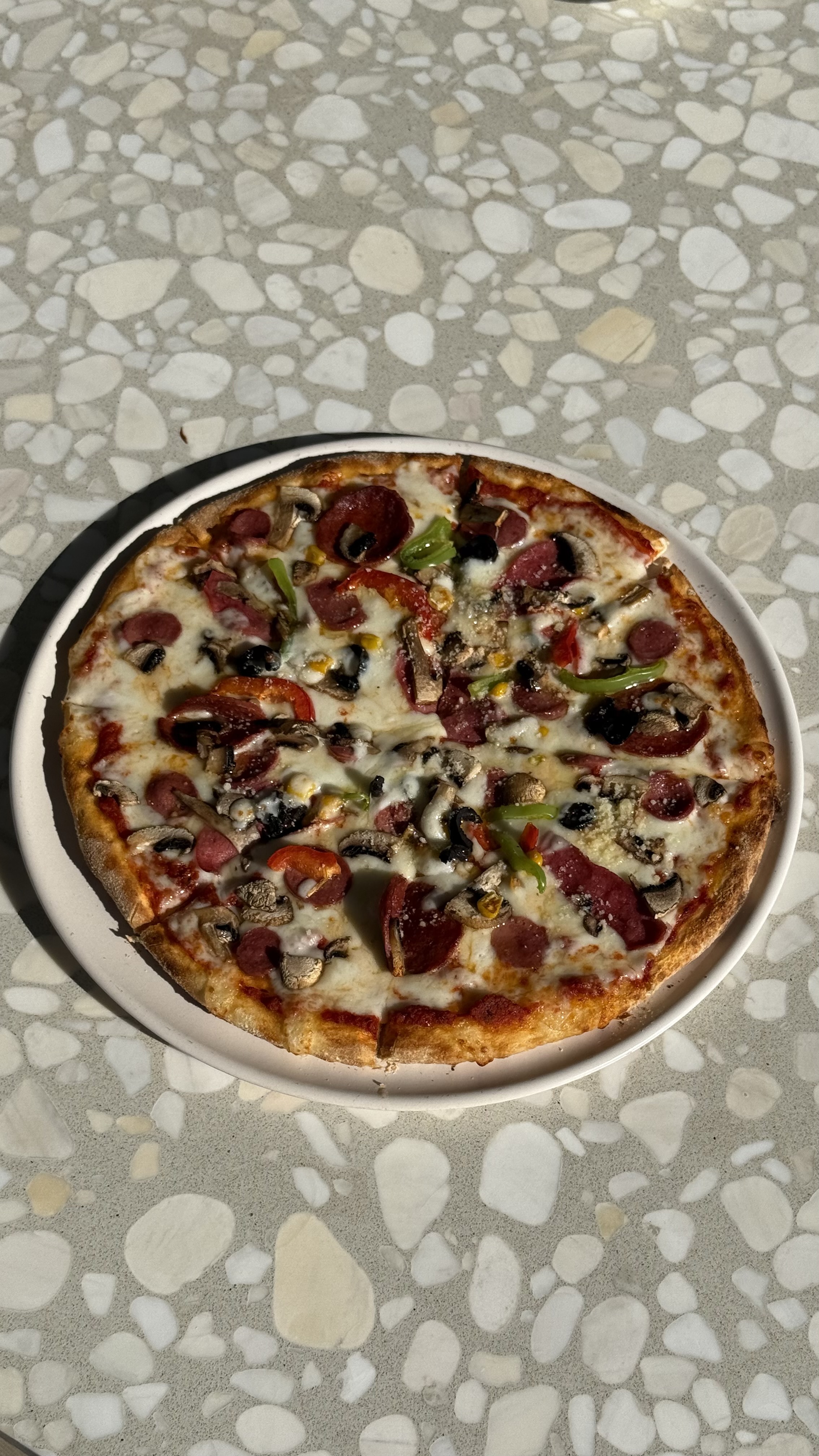 Tavuklu Pizza